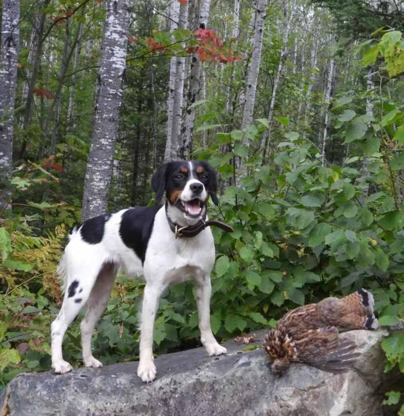 306882134 3106262779684406 3408509019586080115 n